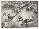 Bull fight in a divided ring