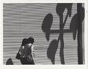 Two Women and the Large Curtain with Shadows