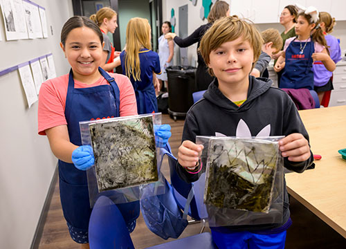 Family Programs at Meadows Museum, Dallas TX